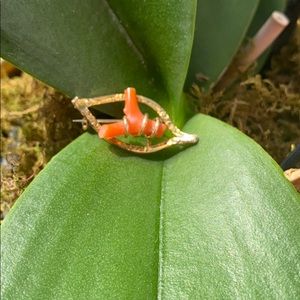 Adorable Vintage Wrapped Coral Pin Wishbone Like